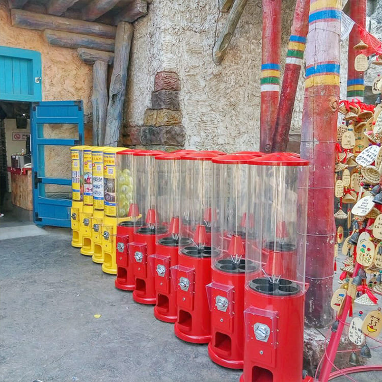 Theme Park